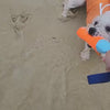 Bite Stick Dog Toy