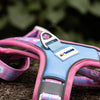 ALIGN Harness