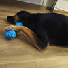 UltraFlex Bone Chew Dog Toy (2 Sizes)