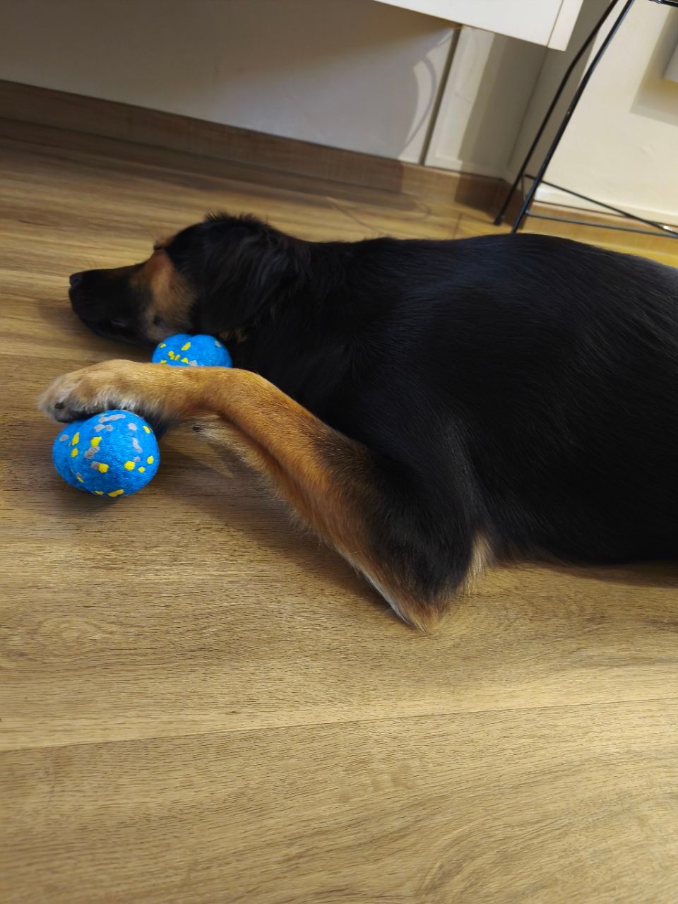 UltraFlex Bone Chew Dog Toy (2 Sizes)